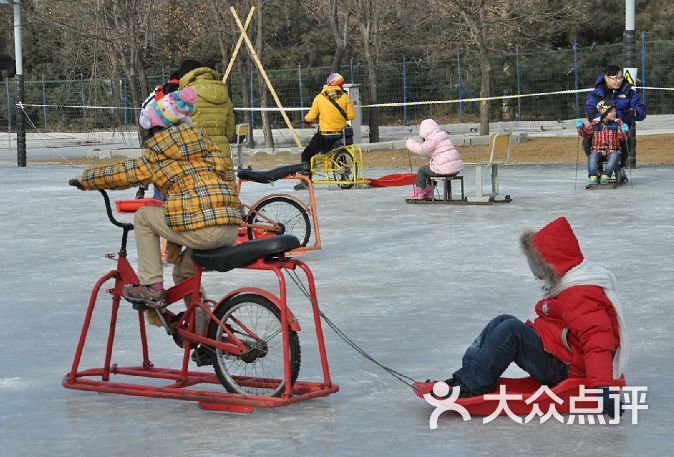 通州运河冰雪乐园·欢乐雪世界图片-北京滑雪-大众点评网