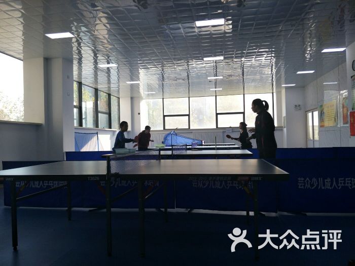 旅顺市民健身中心芸众乒乓球培训中心-图片-大