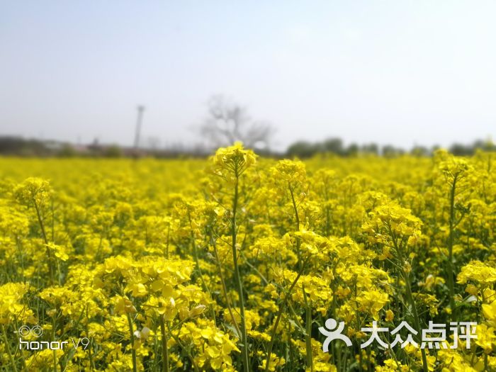 日照花仙子风景区图片 - 第2张