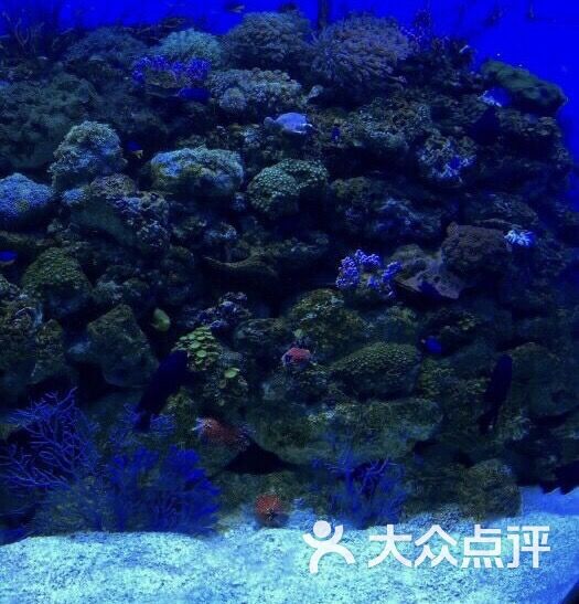 富国海底世界图片 第834张