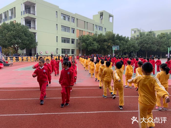 建平实验小学-图片-上海学习培训-大众点评网