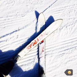 万泰国际旅行社(星海营业部)怎么样,好不好的默