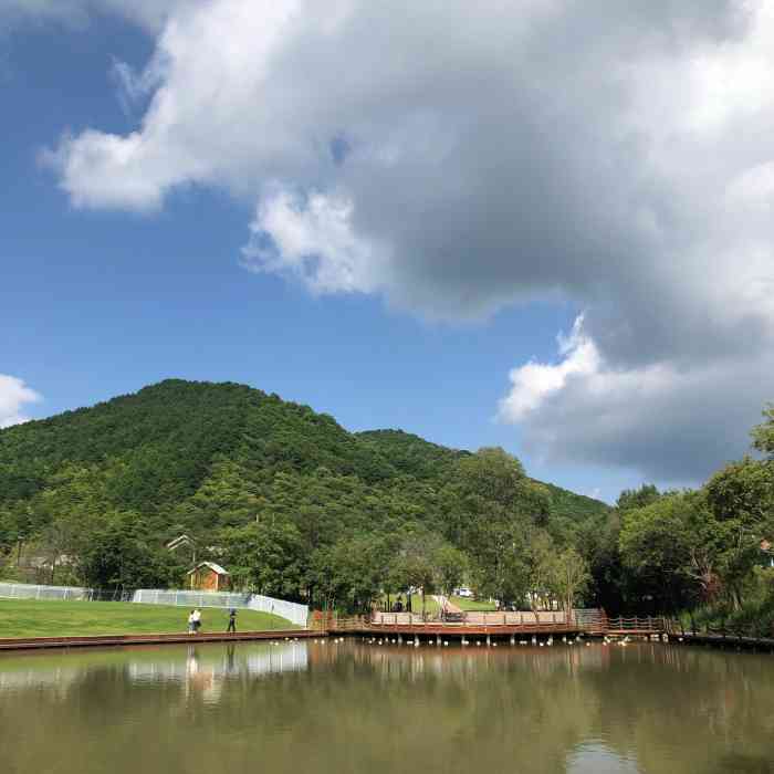 旬邑鹿野苑停车区-"非常好的环境,大草原.如果是节假