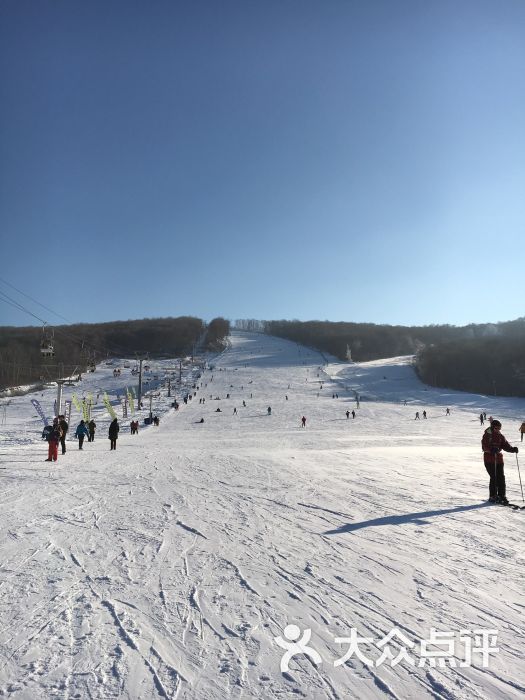 帽儿山哈体院小山滑雪场图片 - 第7张
