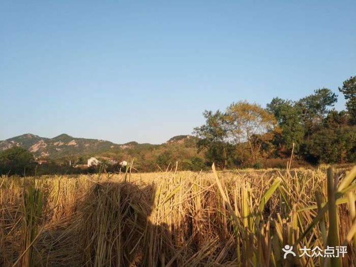 黄陂一直是武汉周边爬山户外最好的去处之一