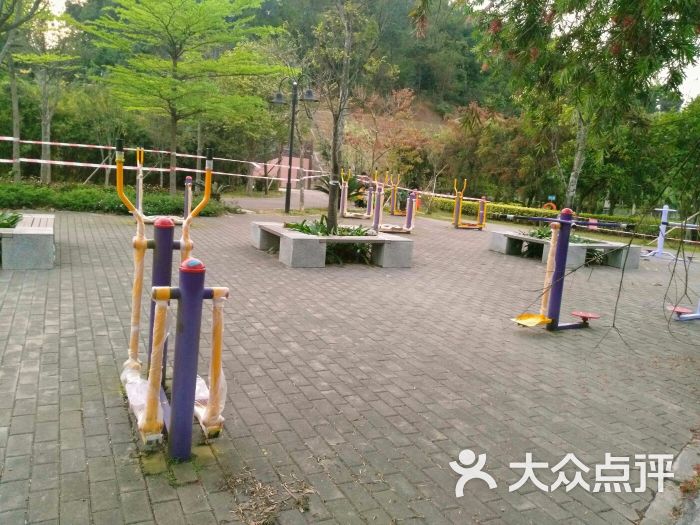 元宝山体育公园-图片-江门运动健身-大众点评网