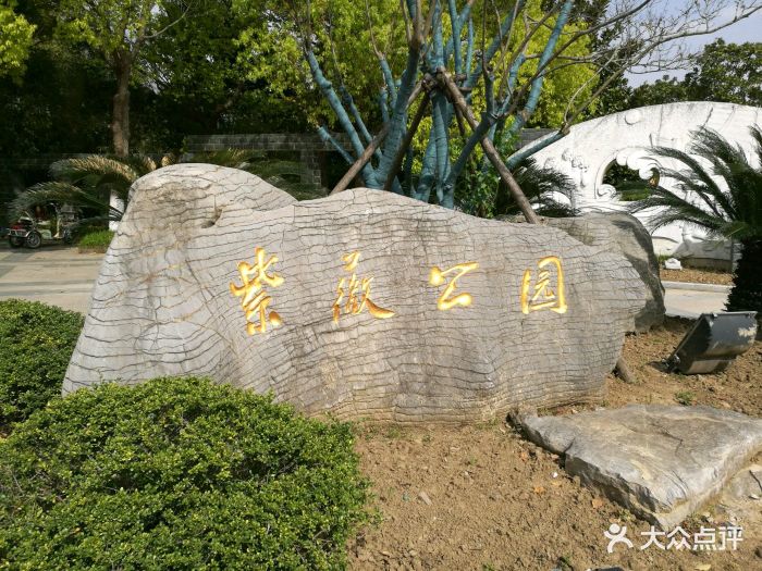 紫薇公园图片