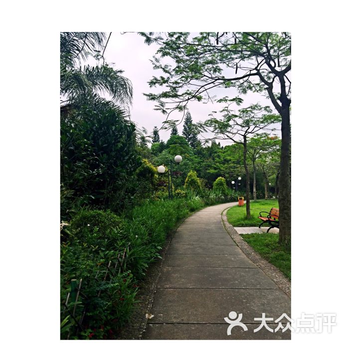 荔香公园图片 - 第1张