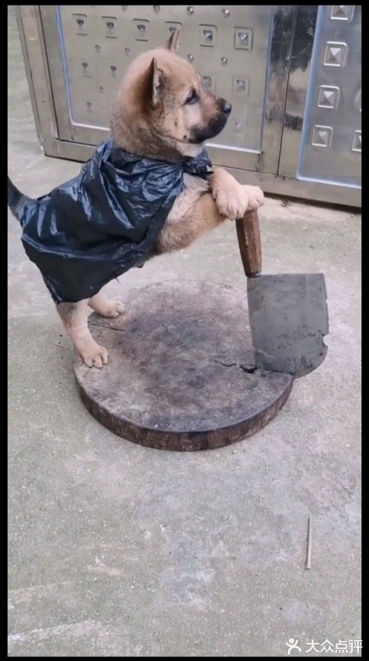 寒江孤影