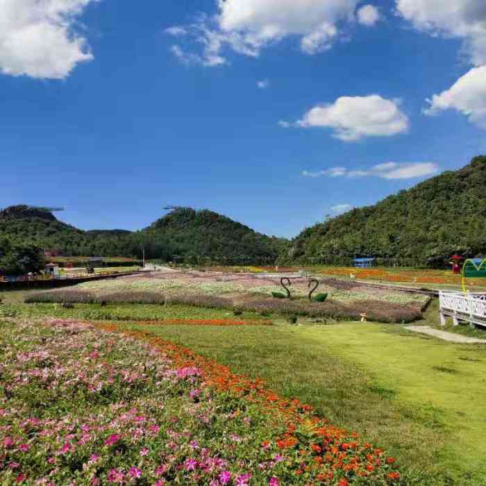 彝山花谷景区-"贵州的大方彝山花谷景区,非常不错,秀.