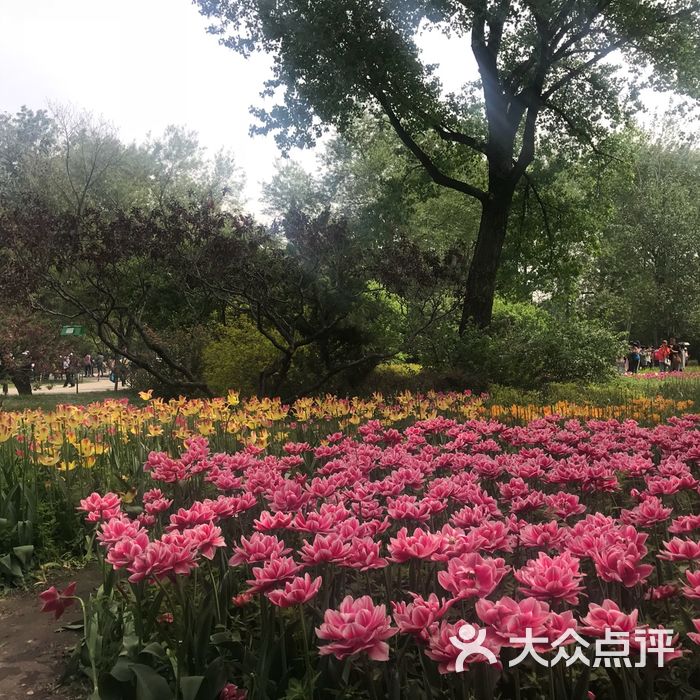 北京植物园