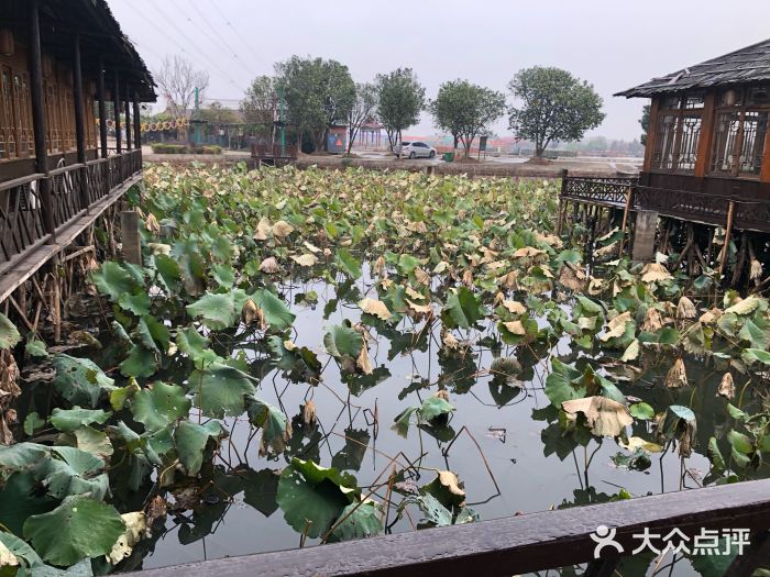 云水间生态农业旅游景区图片