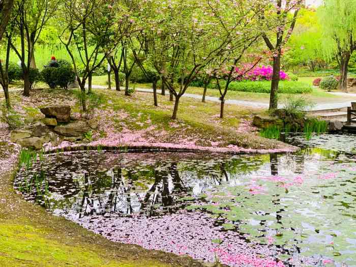 漕河泾开发区公园