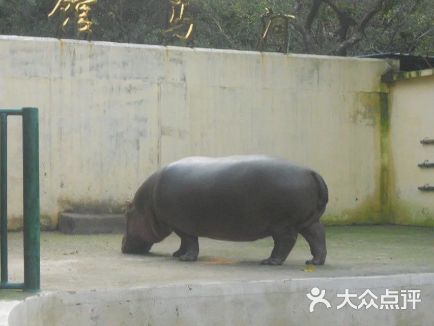 漳州市动物园图片 第4张