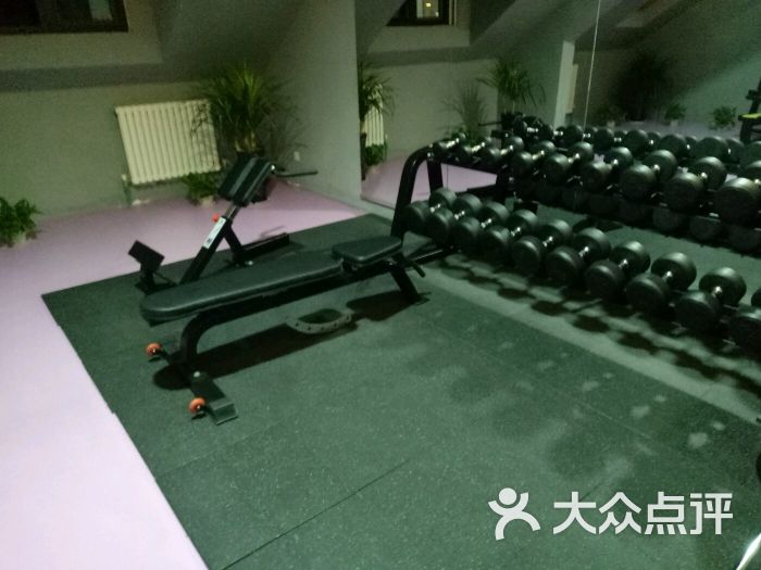 Dragonfit私人健身会所(绿城百合店)-rx199461