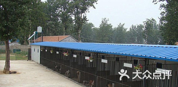 诚骏名犬养殖场-诚骏狗场 外部实景一角图片-广州宠物-大众点评网
