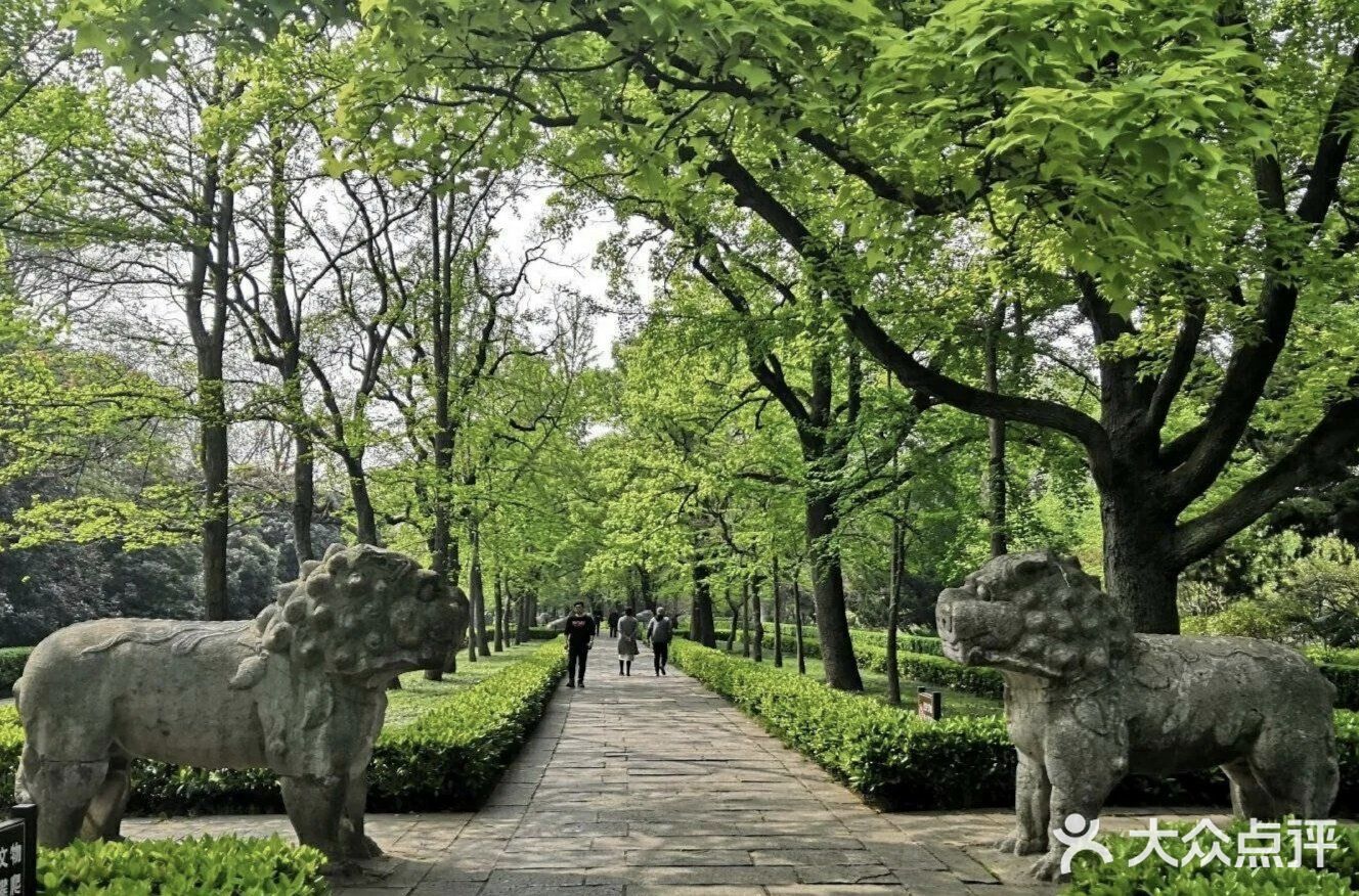 中山陵风景区,追寻春天的味道!