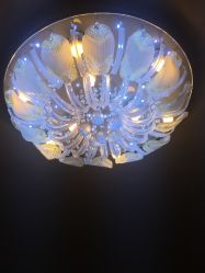 城大灯具城地址,电话,营业时间(图)-上海