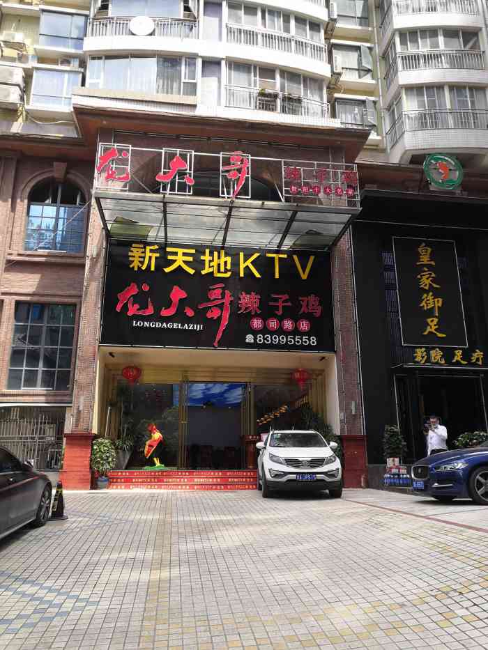 龙大哥辣子鸡(都司路店)