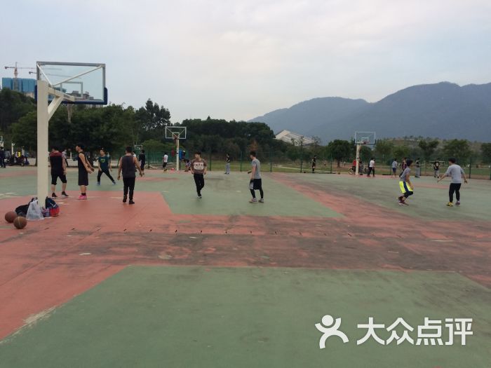 福大室内篮球场图片 - 第5张