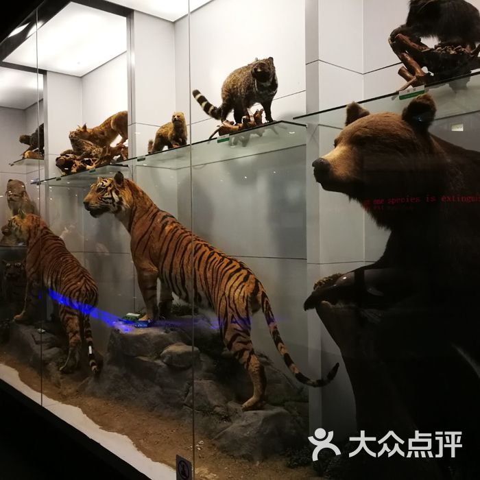 国家动物博物馆