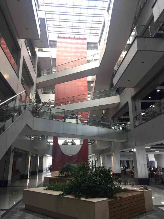 西华大学-图书馆-"已经在西华图书馆泡了三天了,因为