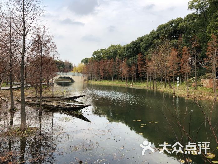 闵行文化公园-图片-上海周边游-大众点评网