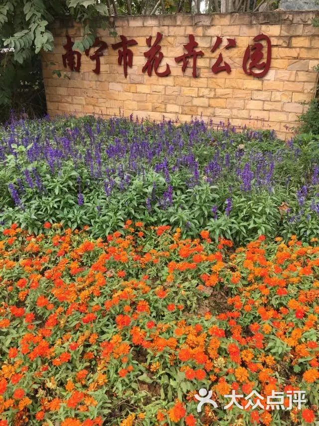 南宁市花卉公园图片 - 第60张