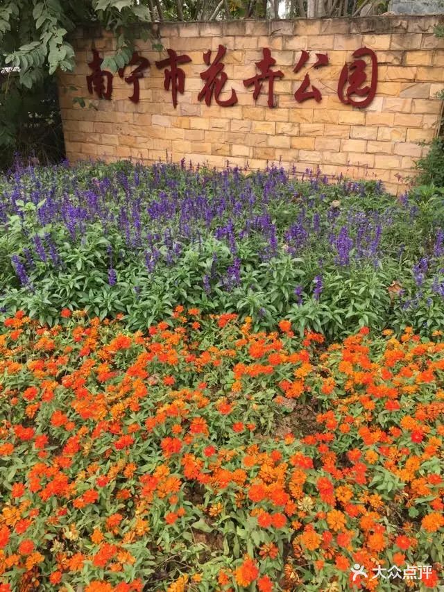 南宁市花卉公园图片