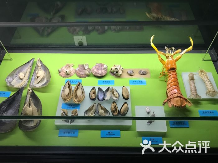 天津自然博物馆图片 第22张