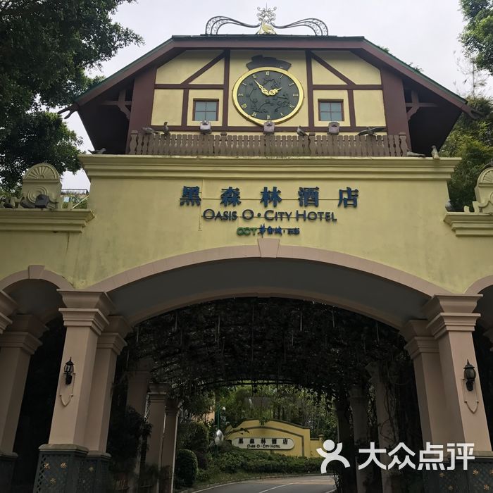 深圳东部华侨城黑森林酒店