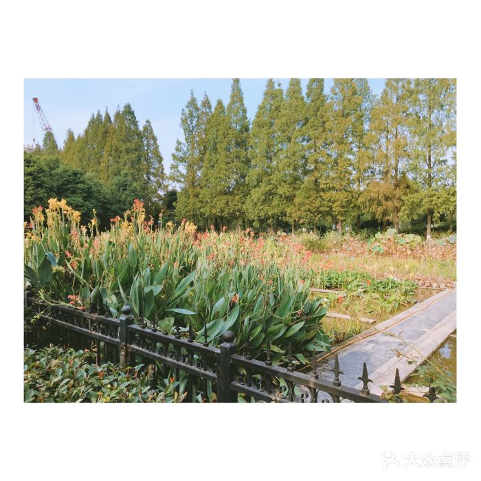 武汉市园林科普公园图片 - 第49张