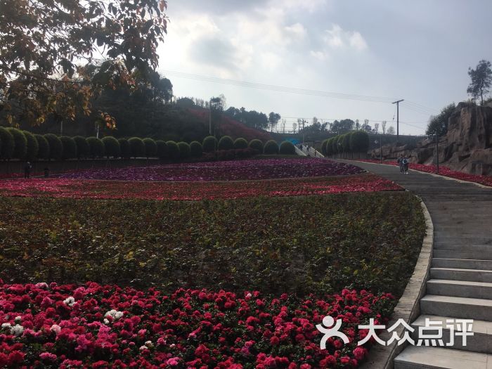 南湖多彩植物园图片 - 第3张