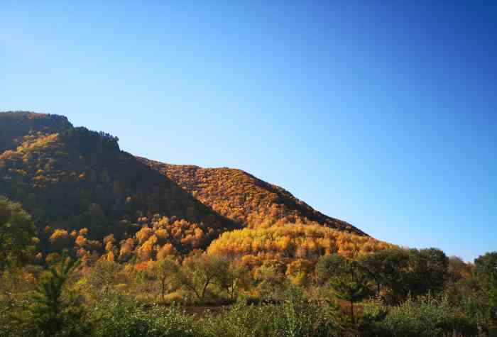 五道沟风景区-检票处-"去塞罕坝路过这里,就进来玩玩.