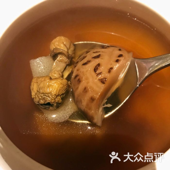 松露菌王汤