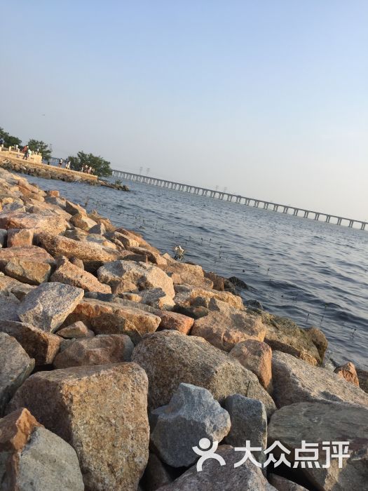 宝安西湾红树林湿地公园图片 - 第3张