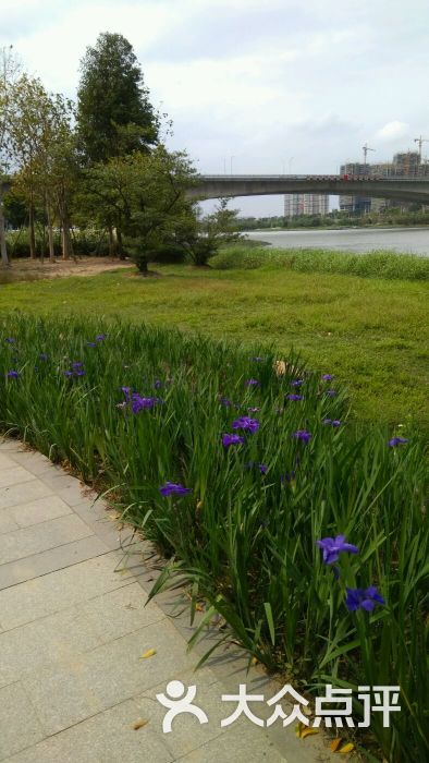 绿岛湖湿地公园图片 - 第4张