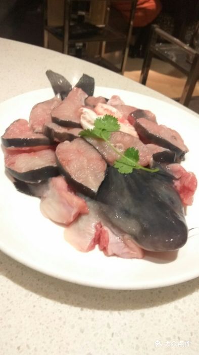 鱼豆吉火锅(胜利四路店)清江肥鱼图片 第239张