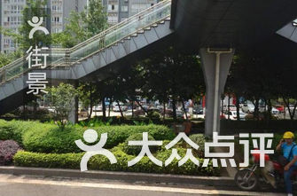 重庆市家庭人口_重庆市人口密度