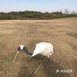 仙鹤湖湿地园(仙鹤湖纪念园)