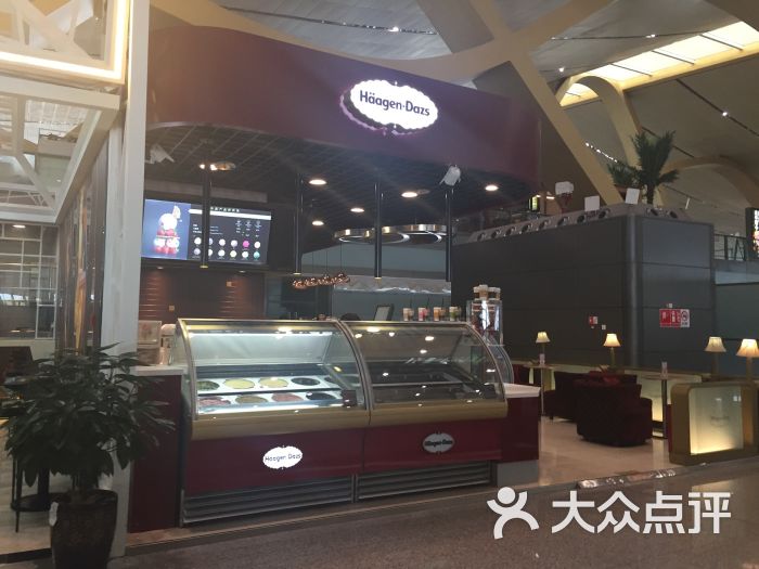 哈根达斯(昆明机场店)-图片-昆明美食