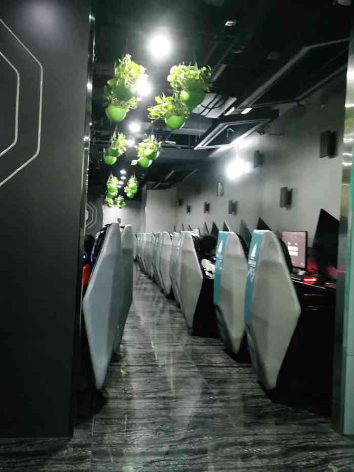 绿树电竞馆(米瑞广场店)-"26的单人北京烤鸭包间3小时