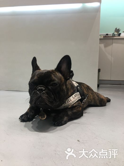 网红丑丑