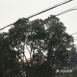 【华宏生态园】电话,地址,价格,营业时间(图 江阴周边游 大众