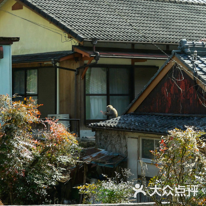 汤の峰别墅价格行情韶关温泉图片