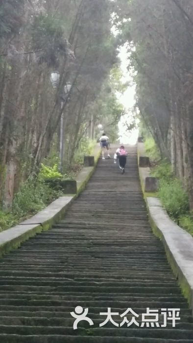 凤山公园-图片-凤庆县周边游-大众点评网