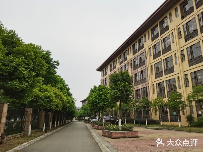 棠湖中学新校区图片
