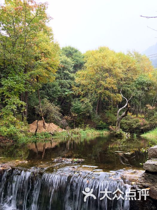松山国家森林公园- 图片-延庆区周边游-大众点评网