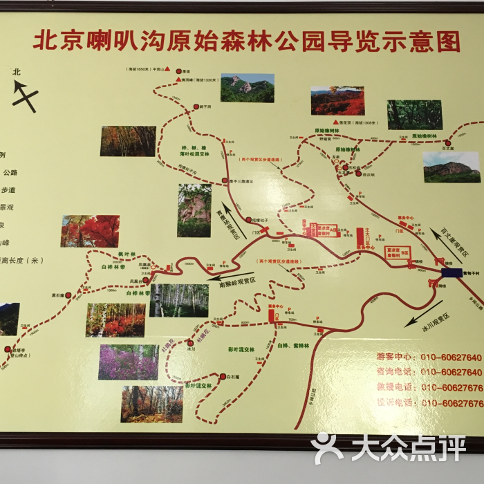 喇叭沟原始森林公园图片 第763张