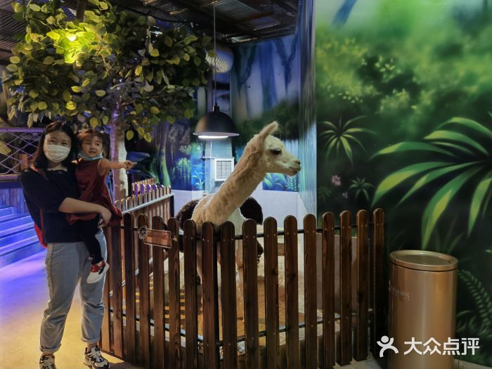 未来动物城图片